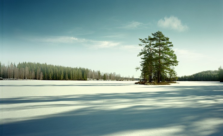 740x450, 74 Kb / зима, природа, пейзаж