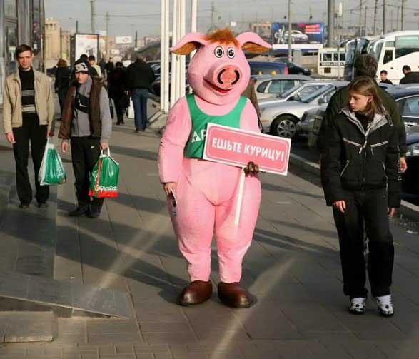 587x503, 33 Kb / свинья, костюм, реклама