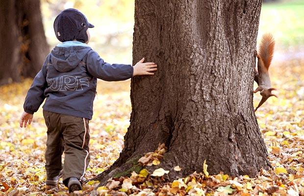 620x400, 65 Kb / мальчик, белка, дерево