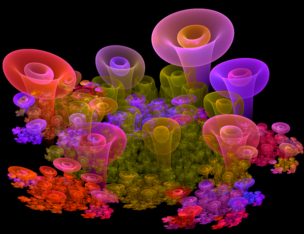 599x462, 243 Kb / грибы