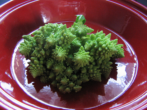 500x375, 176 Kb / капуста, фрактал