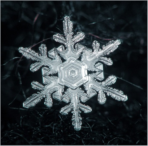 500x491, 69 Kb / снежинка