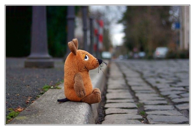 800x536, 57 Kb / бордюр, брусчатка