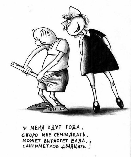 500x596, 45 Kb / елда