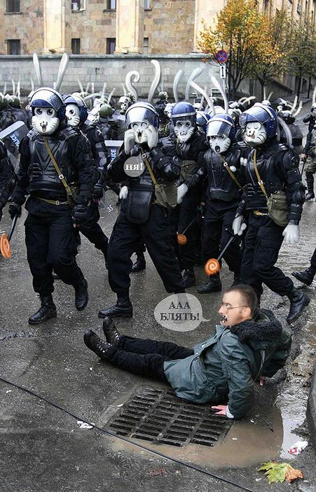 451x700, 101 Kb / маскишоу, менты, дубинки, фейк