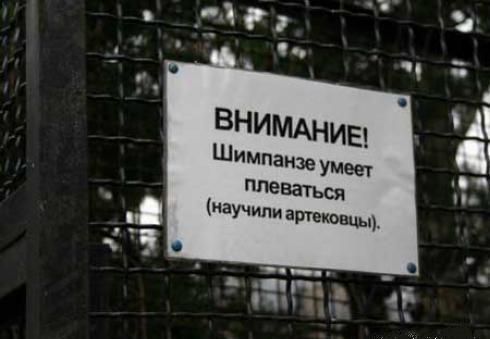 490x339, 24 Kb / шимпанзе, объявление