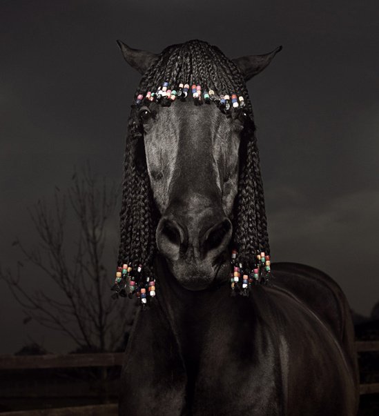 549x603, 40 Kb / лошадь, косички