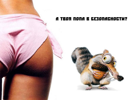 450x338, 26 Kb / белка, орех