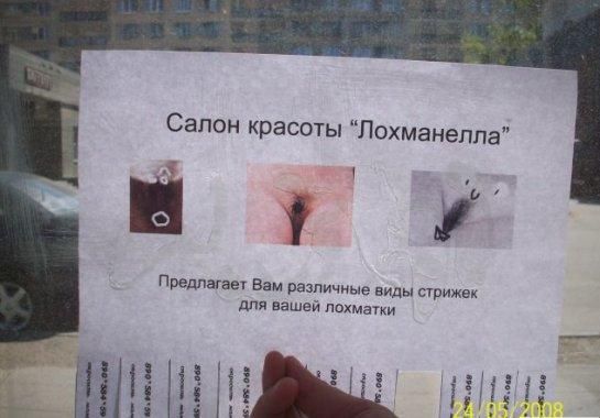 545x380, 34 Kb / Лохматка