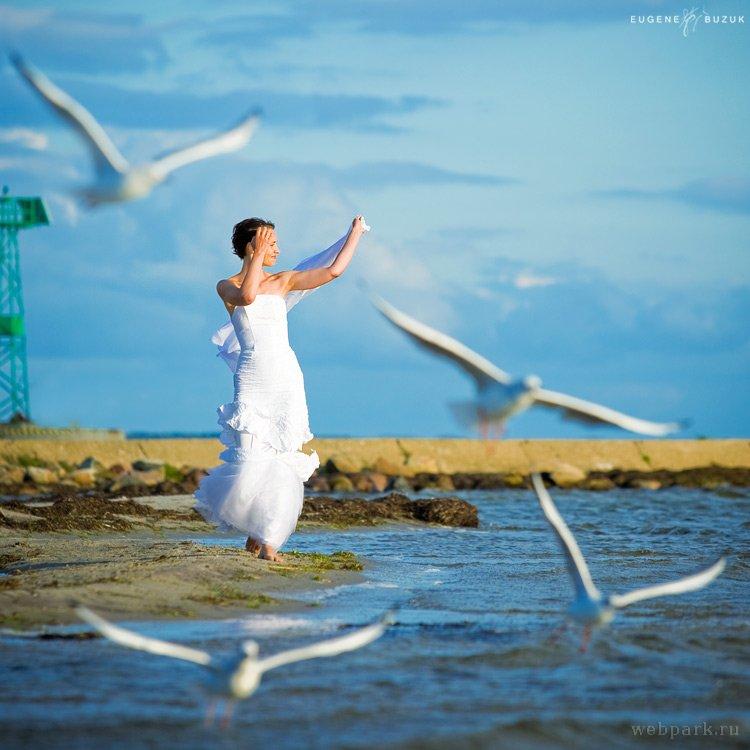 750x750, 66 Kb / невеста, чайки