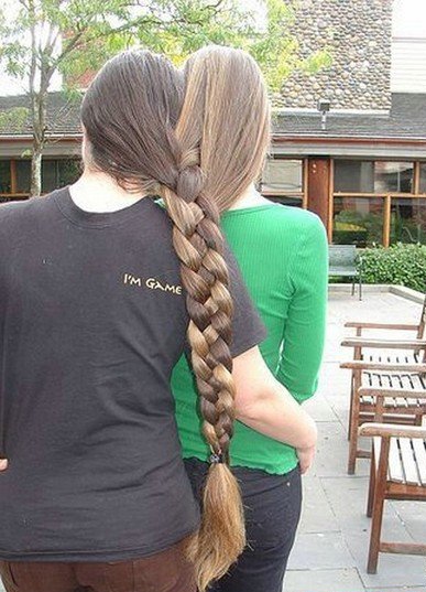 387x537, 62 Kb / коса, волосы, пара, косы