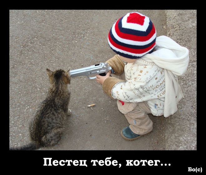 660x560, 80 Kb / кот, малыш, пистолет