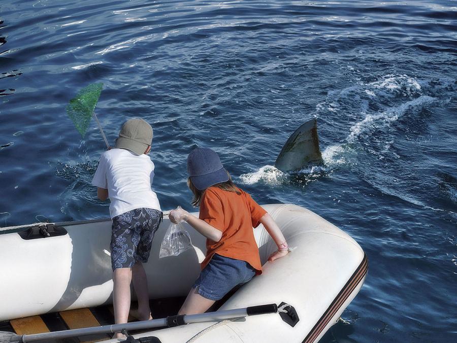 900x675, 116 Kb / дети, лодка, плавник