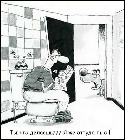 427x480, 40 Kb / собака, человек, туалет, карикатура