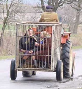 315x343, 29 Kb / трактор, клетка, дед, бабки