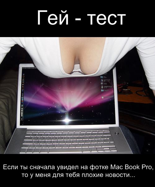 500x600, 44 Kb / гей, тест, макбук, сиськи