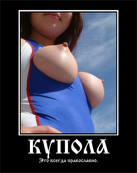 449x567, 42 Kb / купола