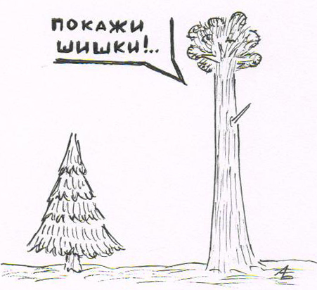 451x412, 124 Kb / шишки