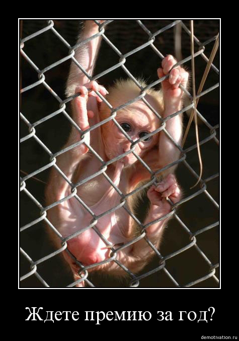 475x676, 119 Kb / обезьяна, решетка, работа, кризис