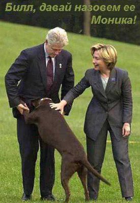 275x400, 25 Kb / клинтон, хиллари, билл, моника, собака, минет