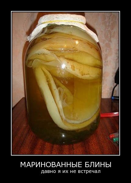 430x600, 37 Kb / чайный гриб