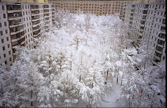 578x377, 100 Kb / Зима, двор, деревья, иней