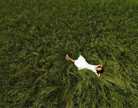 568x444, 73 Kb / Лето, Поле, Трава