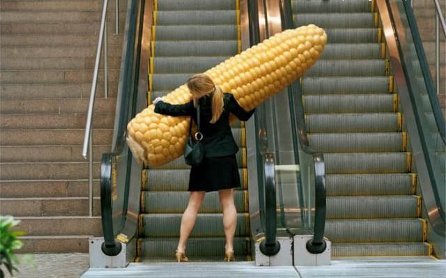 640x399, 76 Kb / эскалатор, кукуруза, девушка