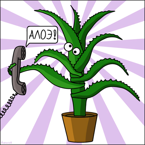 500x500, 178 Kb / алоэ