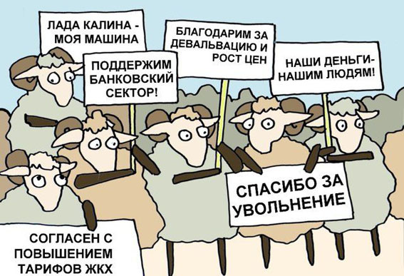 567x387, 109 Kb / Бараны, политика