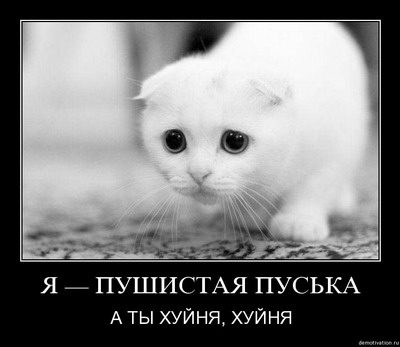 400x347, 33 Kb / котик