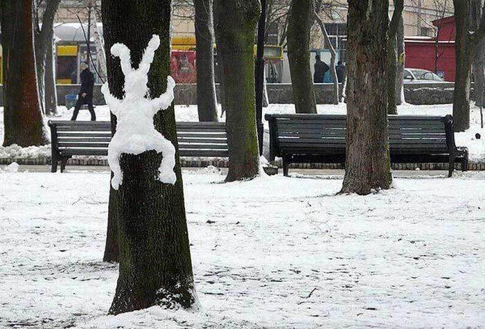 700x475, 141 Kb / заяц, дерево, снег