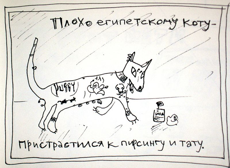 800x583, 100 Kb / пирсинг, тату, йод, кот, египетский