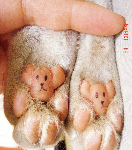 450x513, 87 Kb / лапы