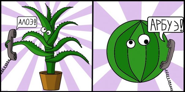 604x302, 43 Kb / алоэ