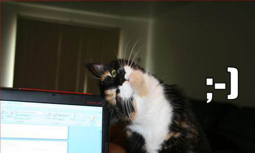 500x300, 41 Kb / смайлик