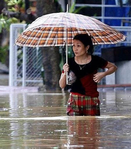 450x511, 93 Kb / наводнение