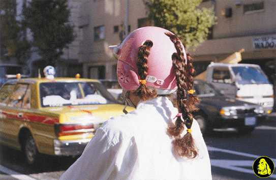 543x354, 22 Kb / косички, шлем