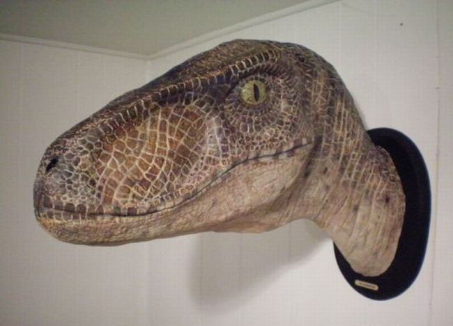 650x469, 76 Kb / динозавр, мумия, голова, чучело