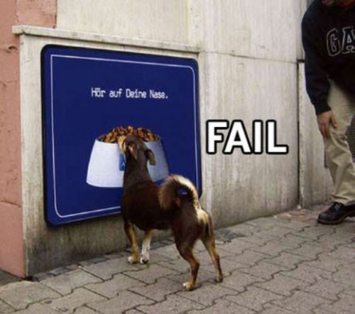 500x442, 75 Kb / собака