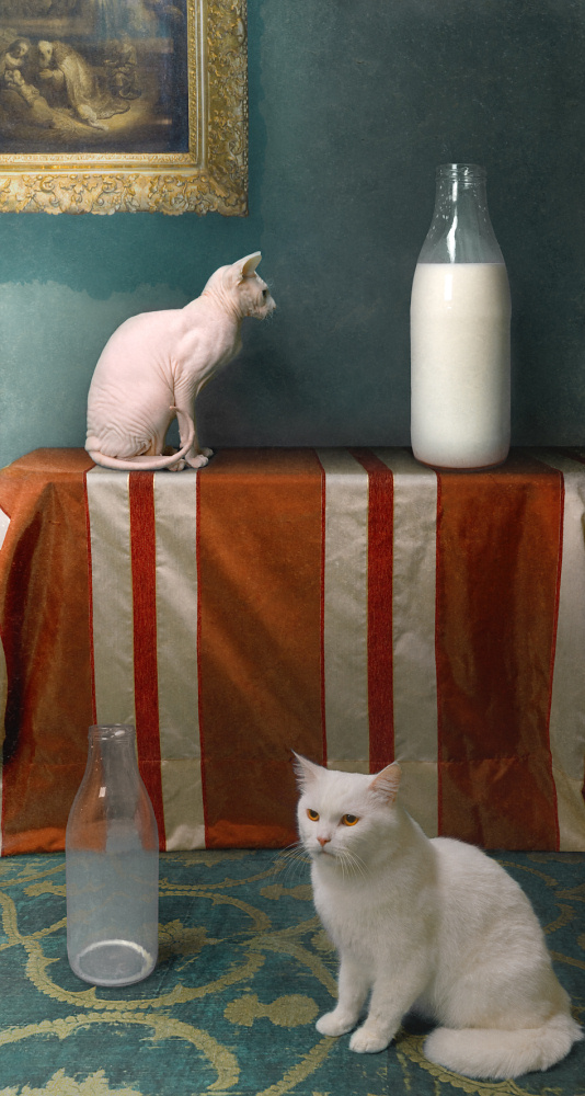 534x1000, 237 Kb / коты, молоко