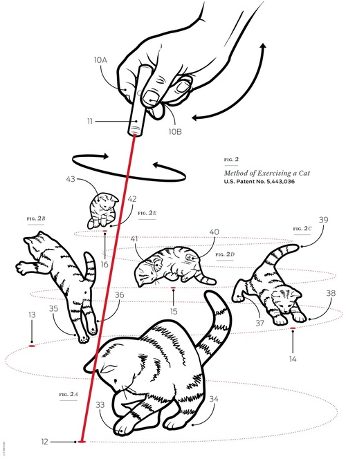 500x664, 83 Kb / кот, лазер, указка, патент