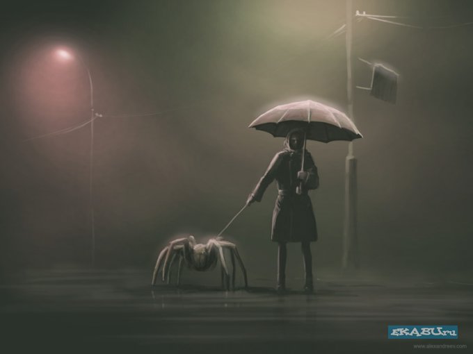 680x510, 21 Kb / ночь, улица, фанарь, паук