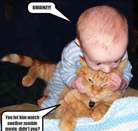 468x447, 47 Kb / бои без правил, кот, малыш