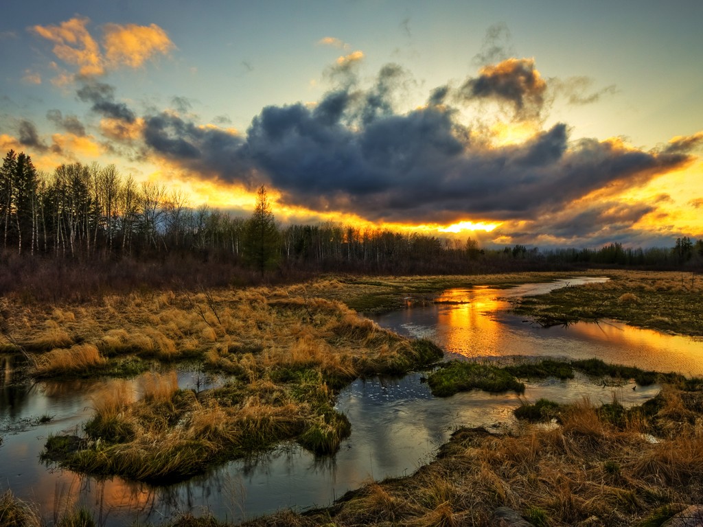 1024x768, 219 Kb / пейзаж, болото