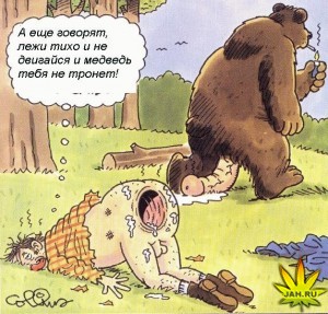 300x287, 40 Kb / анал, медведь, хуй