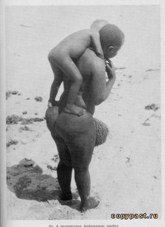 328x450, 23 Kb / африканка, попа