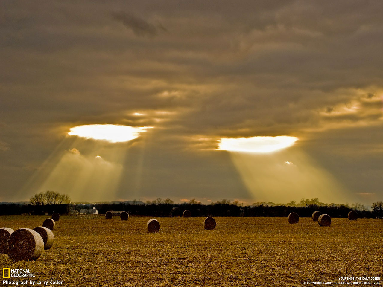 1280x960, 222 Kb / поле, лучи, глаза