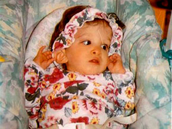 340x255, 87 Kb / Гринберг