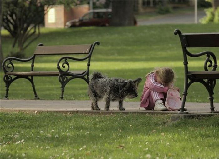 700x509, 72 Kb / собака, девочка, скамейка